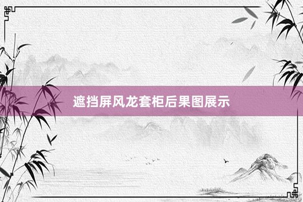 遮挡屏风龙套柜后果图展示