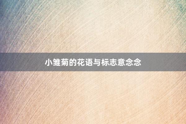小雏菊的花语与标志意念念